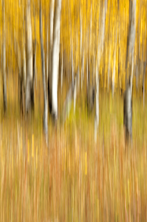 Aspen Abstract