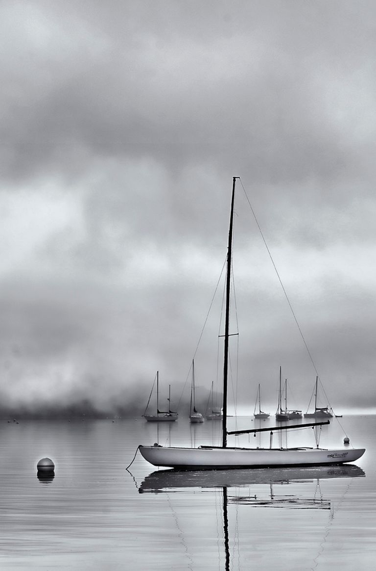 Belfast Harbor