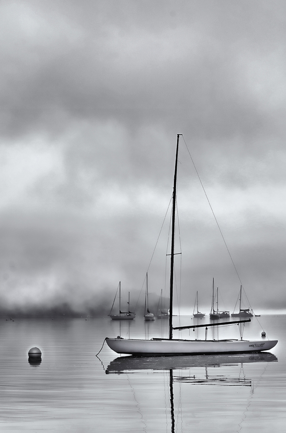 Belfast Harbor