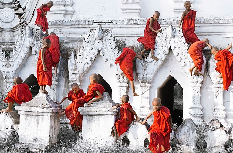Climbing Cardinals