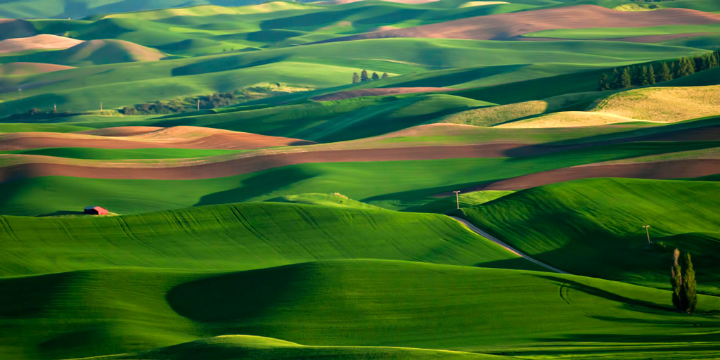 Colors of Palouse at Sunset