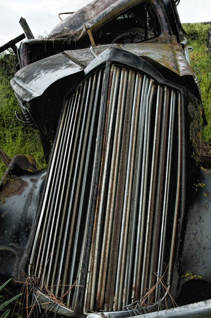 Grill