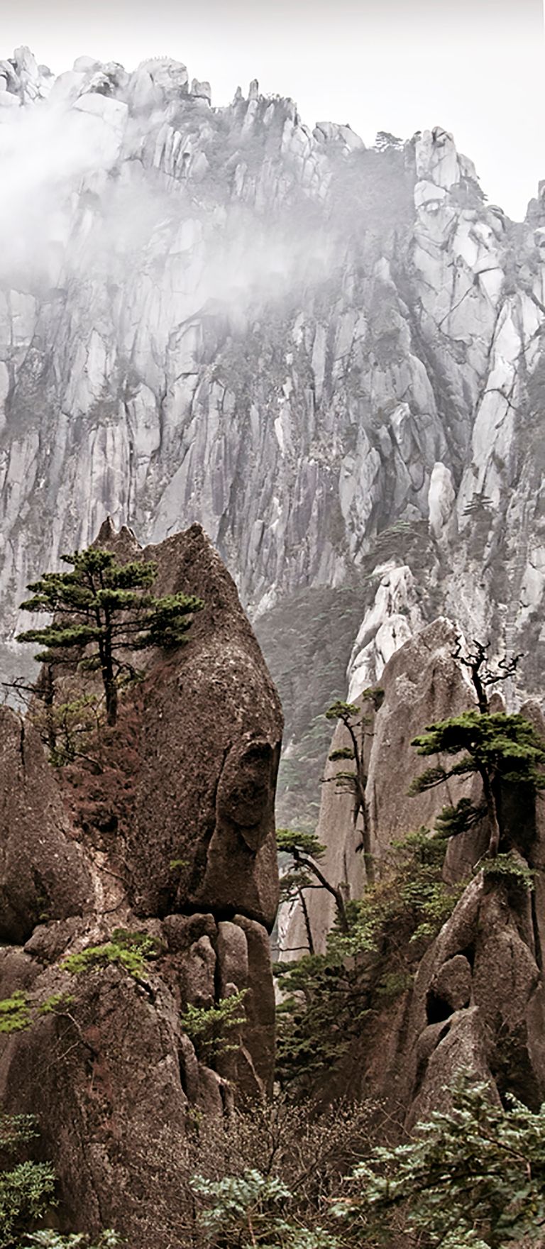 Huangshan View