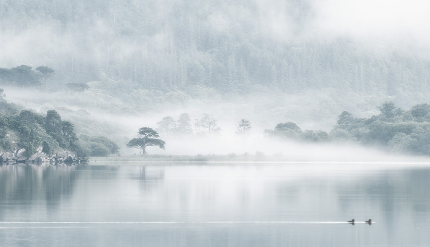 Killarney Lakeside