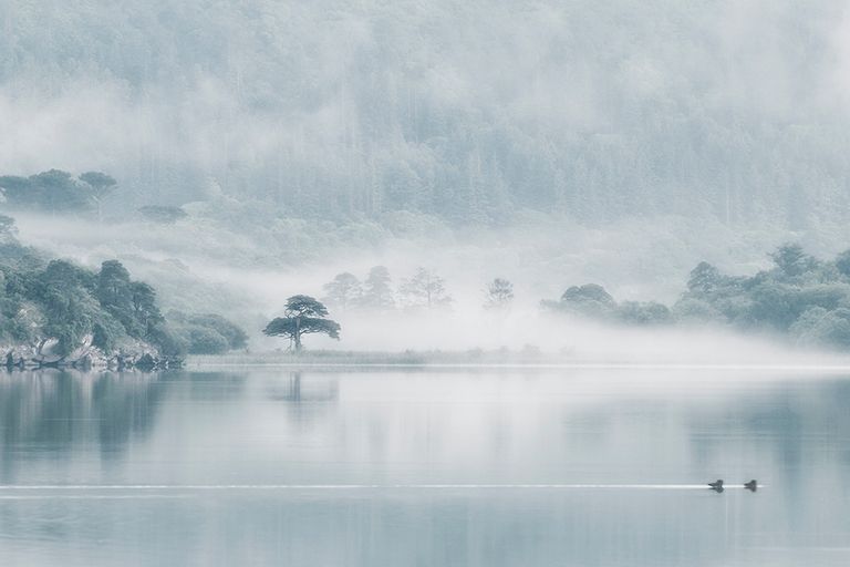Killarney Lakeside