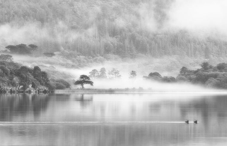 Killarney Lakeside B&W
