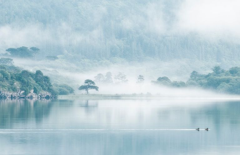 Lakeside, Ireland