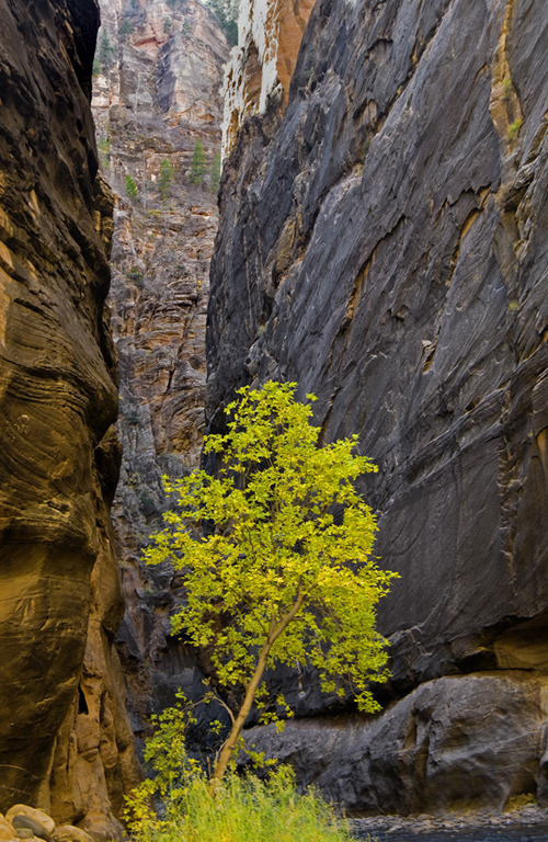 The Narrows
