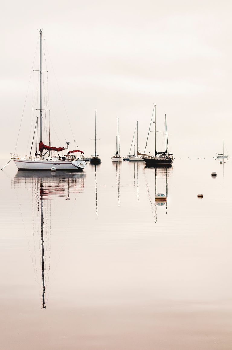 Still Harbor
