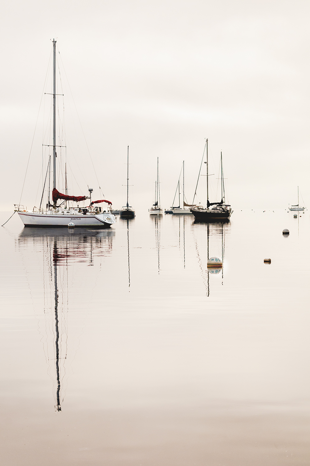 Still Harbor