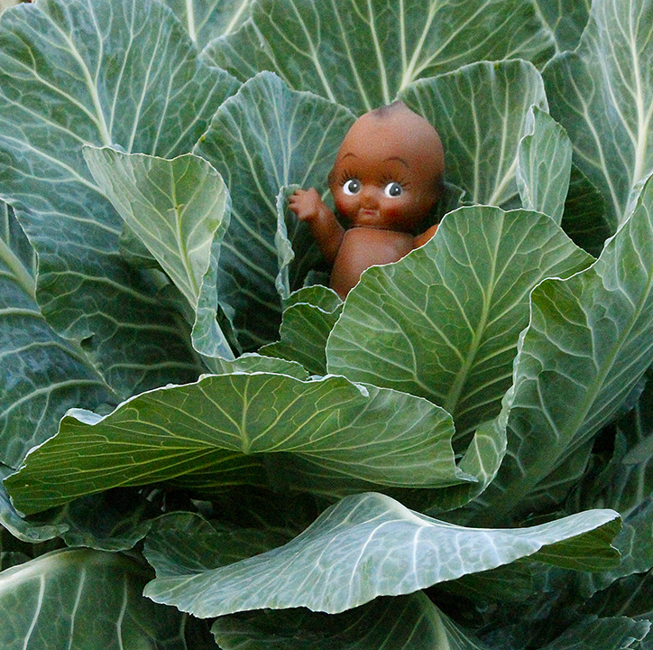 Baby in the Collard Patch