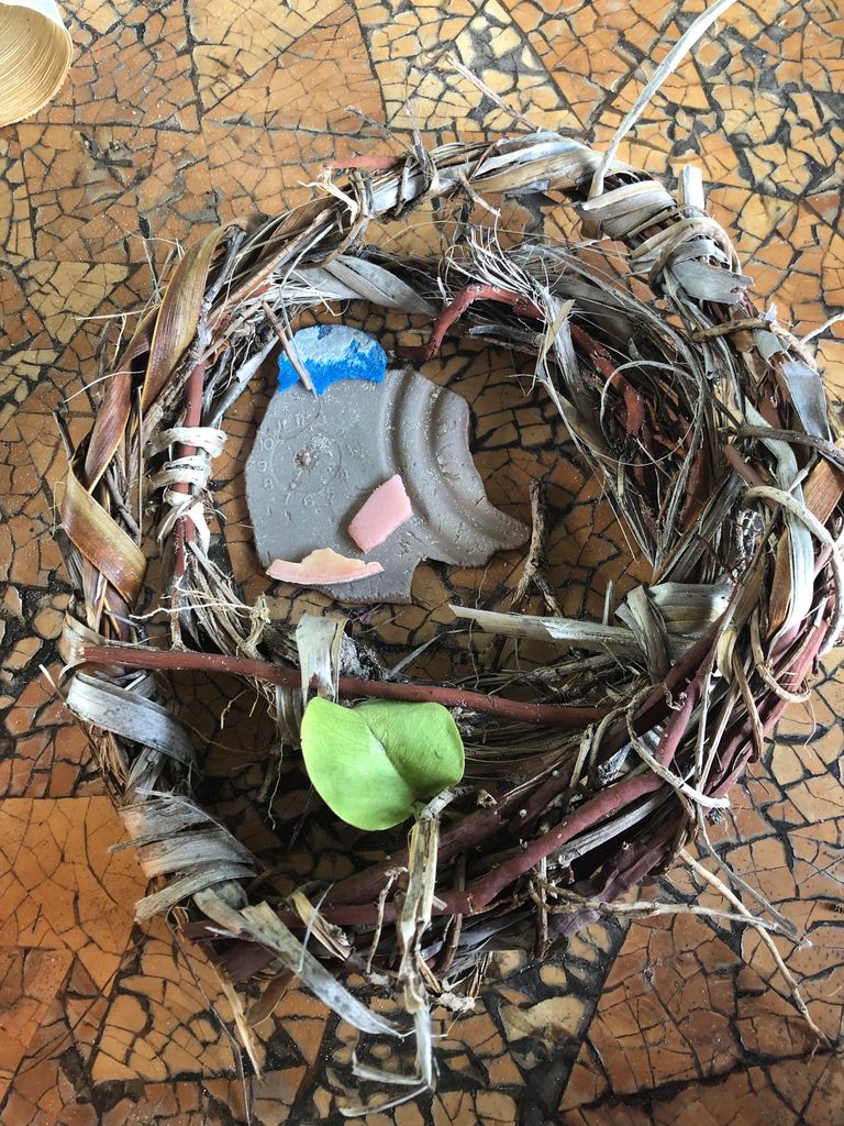 Nest of Plastic in Oahu, HI