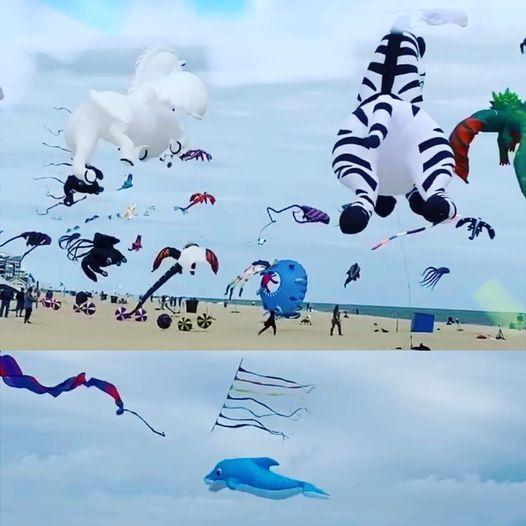 Kite festival reality