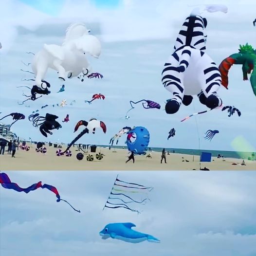 Kite Festival Reality