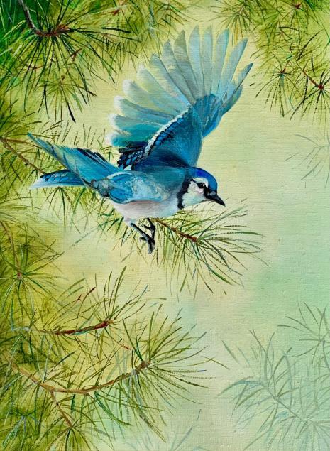 Blue jay