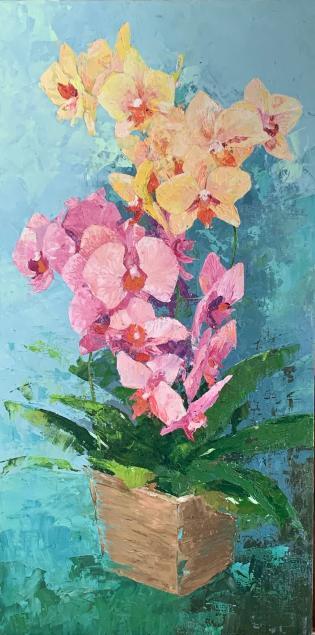 Orchids