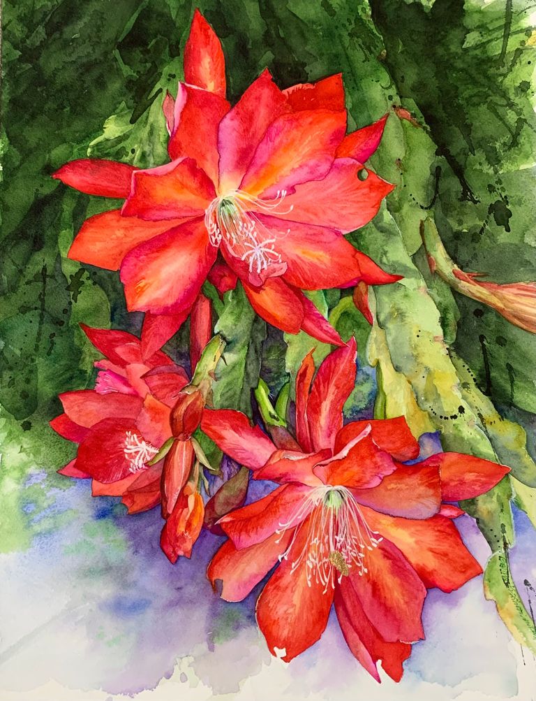 Orchid cactus