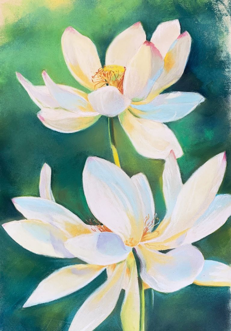 Sacred Lotuses