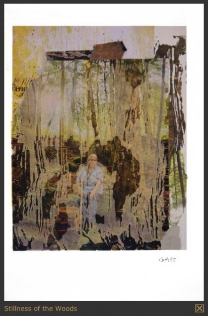 Stillnessofthe Woods