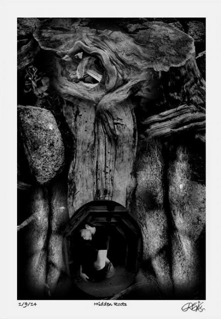 Hidden Roots