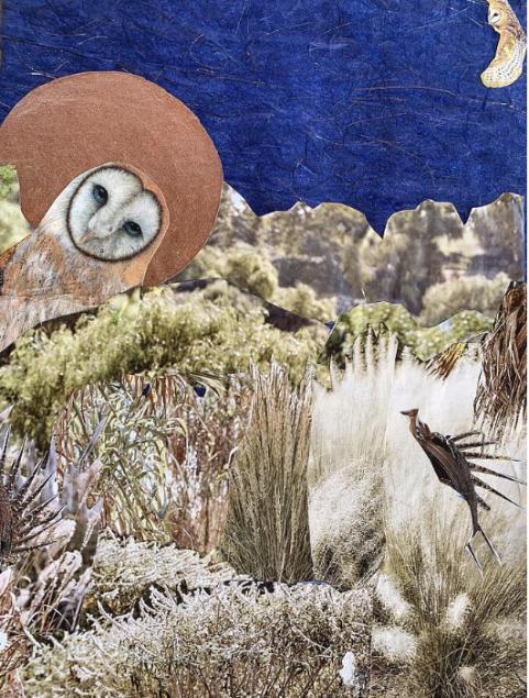 Desert nite