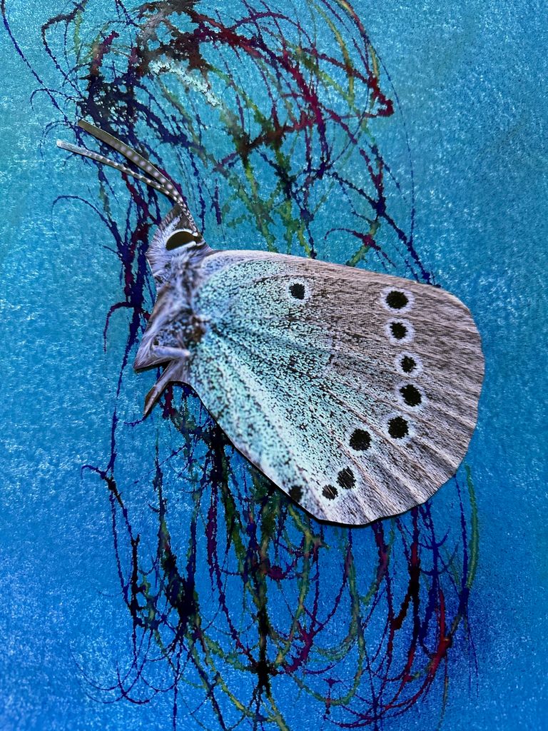 Emerging