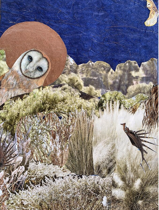 Desert Nite
