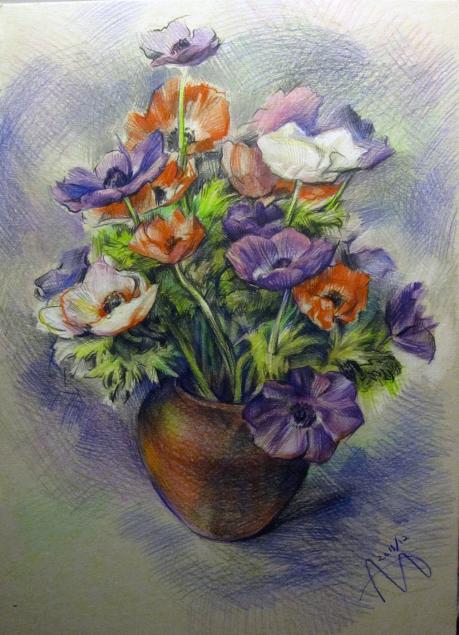Poppyflowers