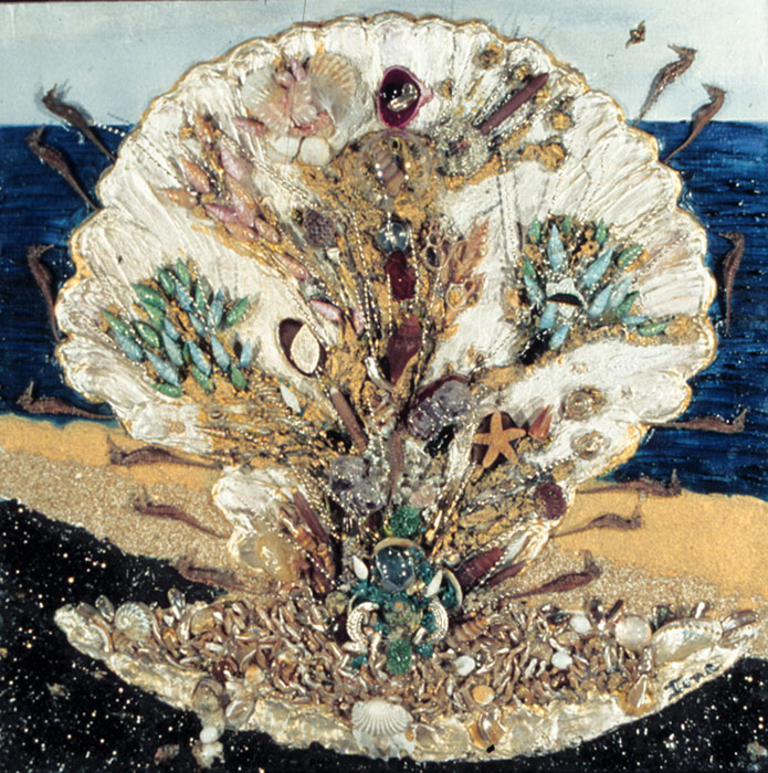 Shell of treasure