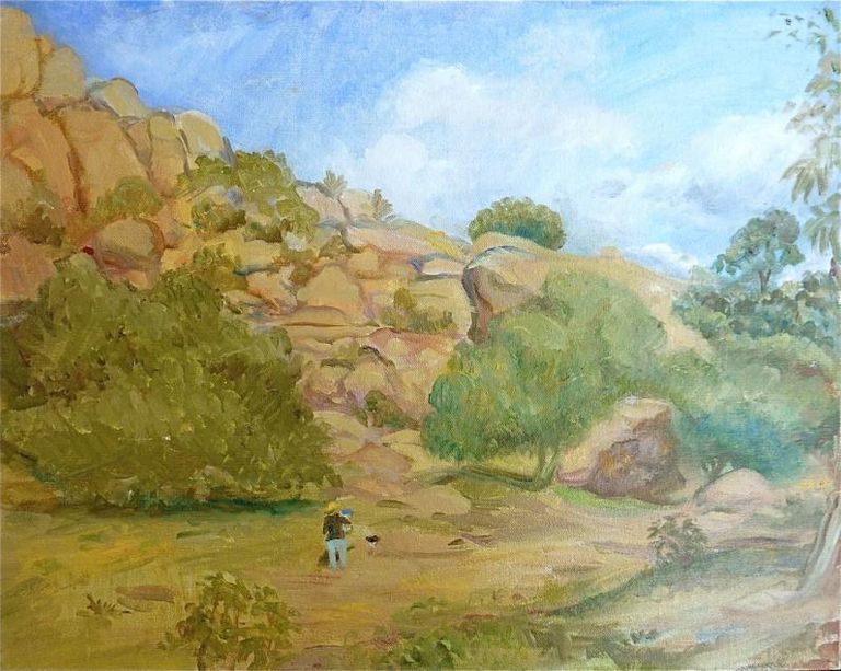 Valley Landscape