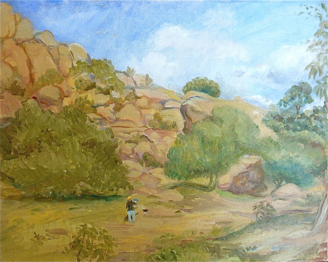 Valley Landscape