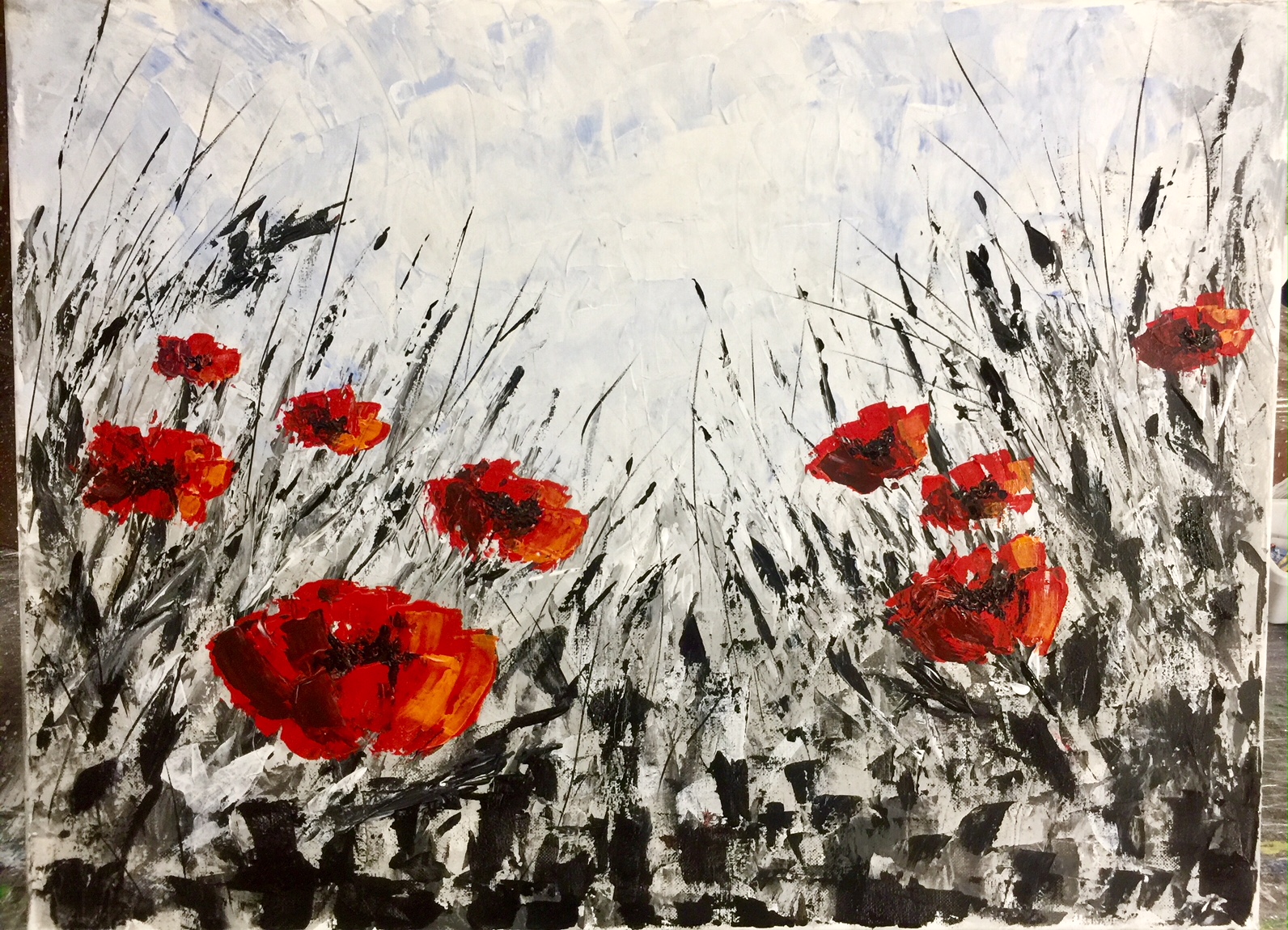 Poppies fields