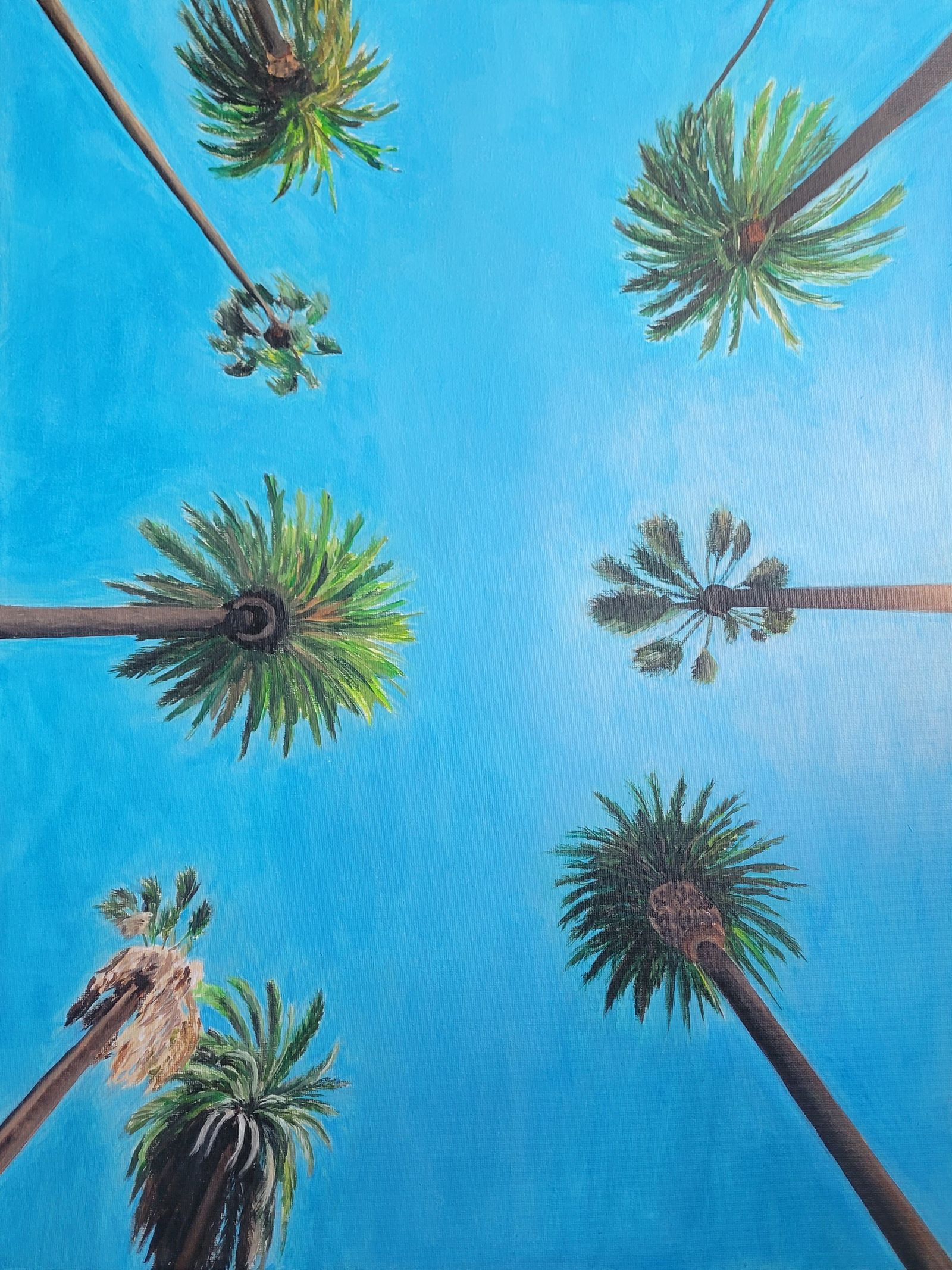 Palmtrees