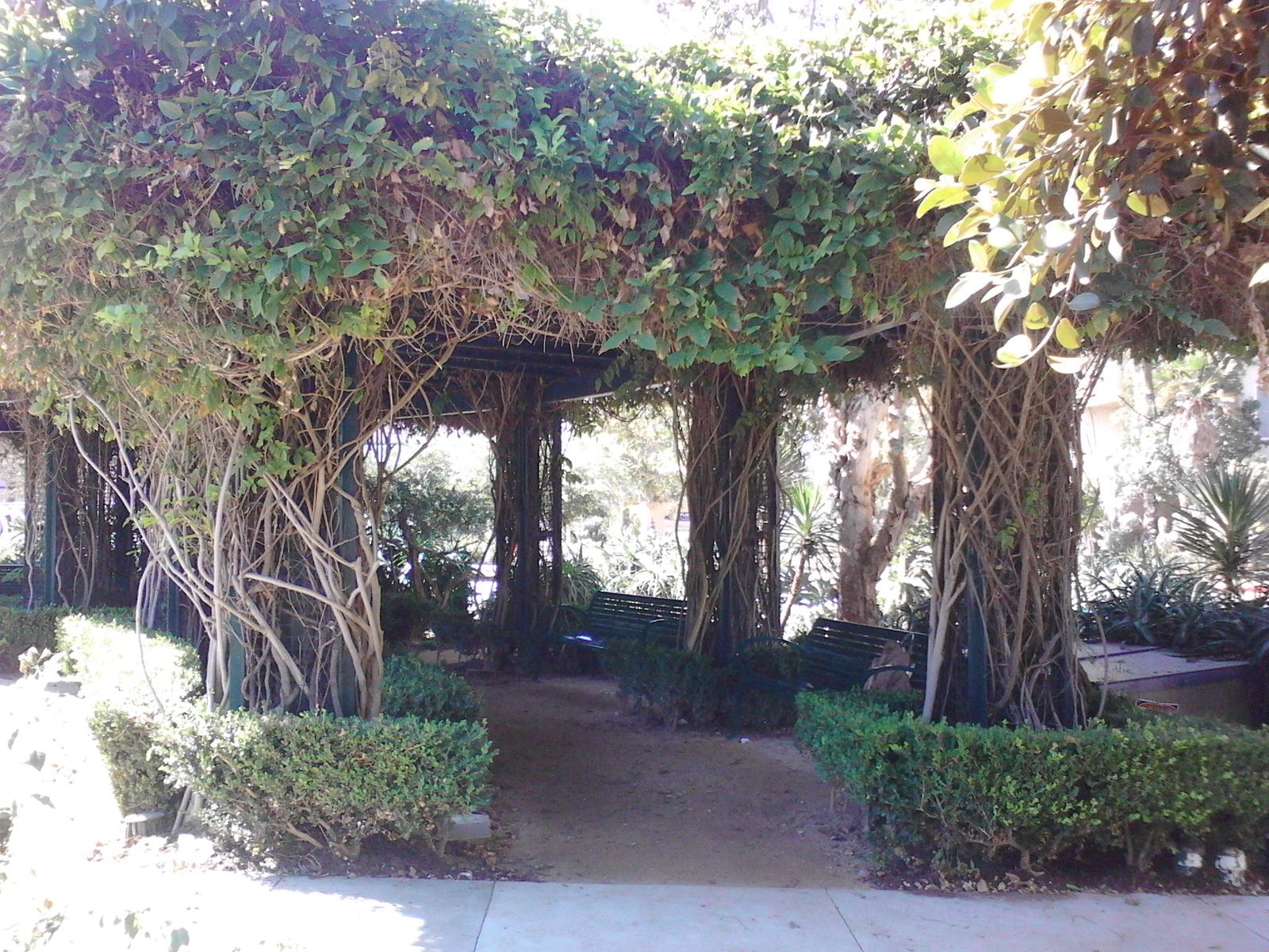 Where the Sun Shines - Playa Vista