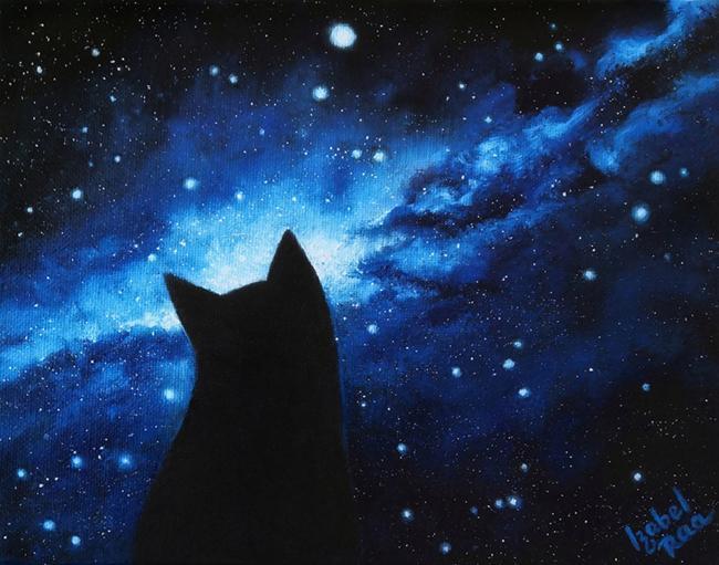 Remembering the star home