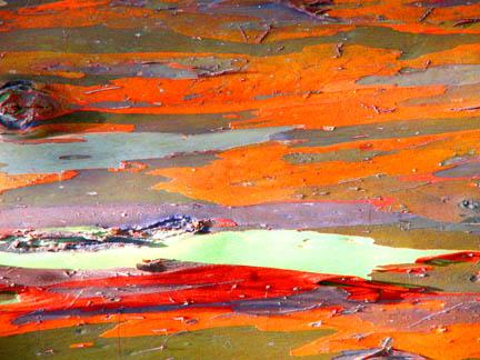 Bark Series445