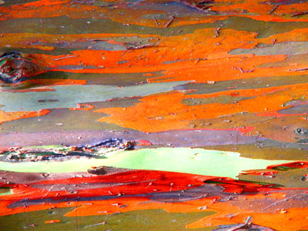 Bark Series 445