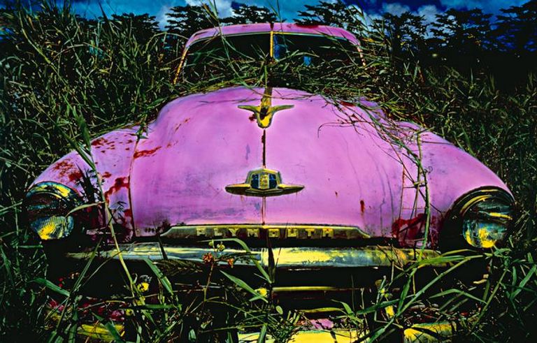 Jane Gottlieb Splendorinthe Grass