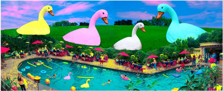 Geese on Guard