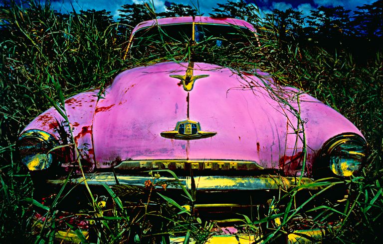 Splendor in the Grass
