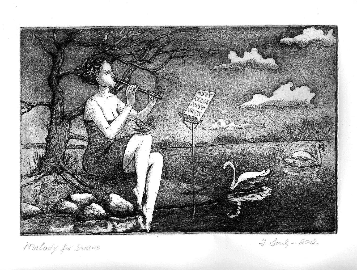Melody for Swans