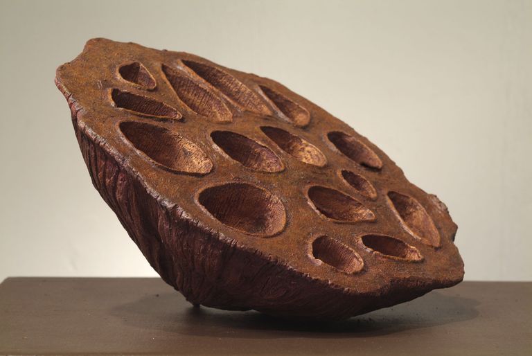 Seed Pod 1