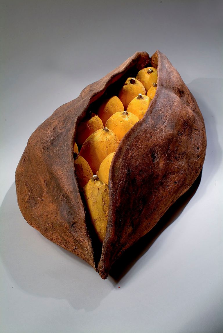 Seed Pod 1