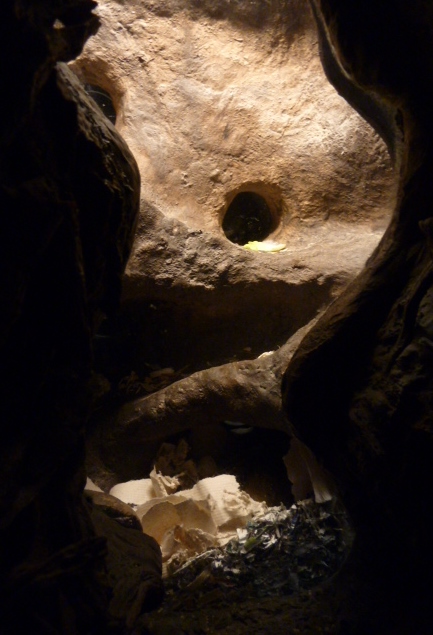 Unearthed Image