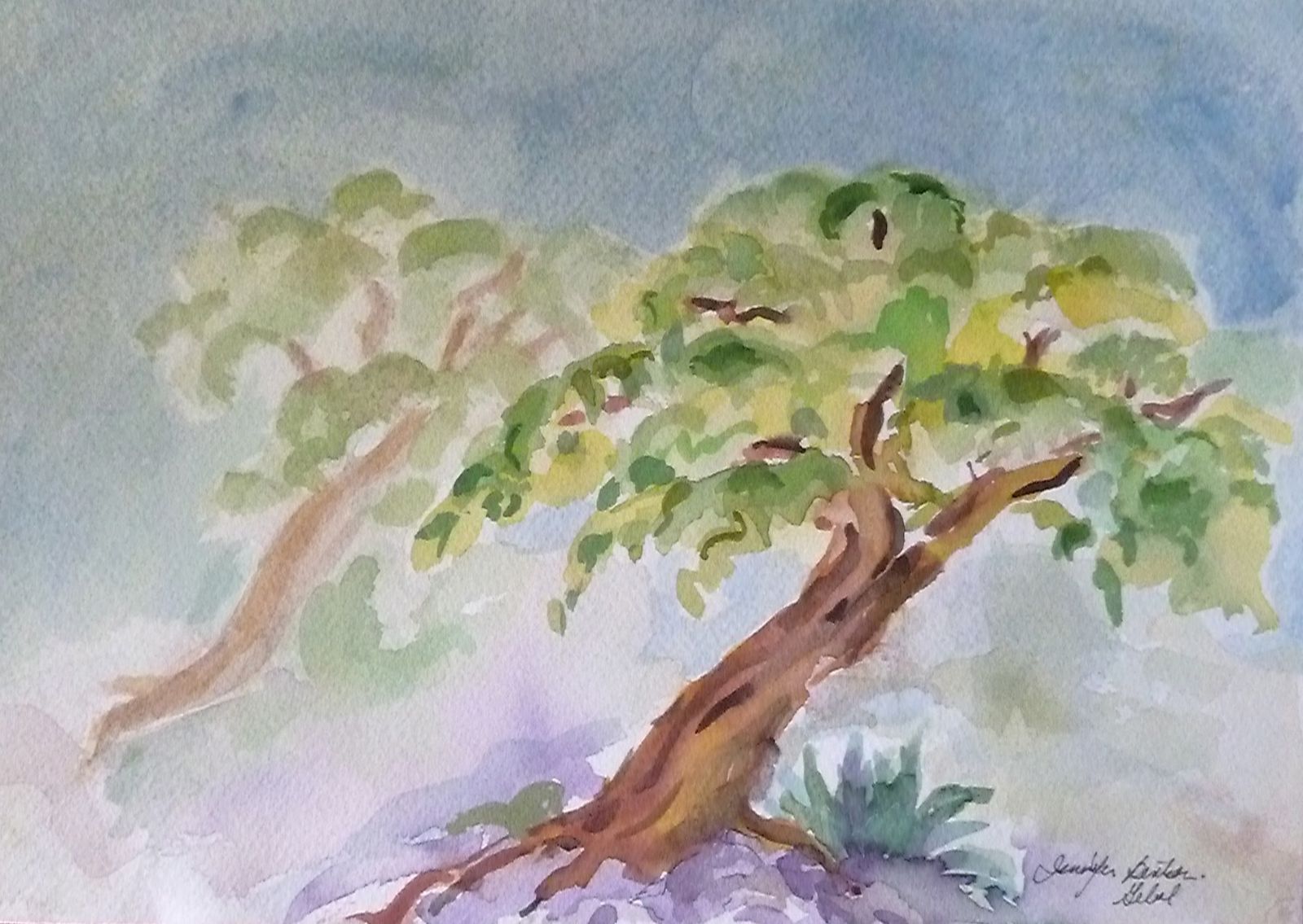 Manzanilla