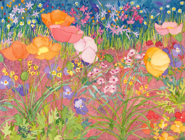 Poppies in Garden