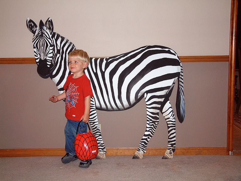 Scotty with Spot