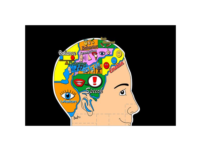 Neuroscience2017_Brain Map