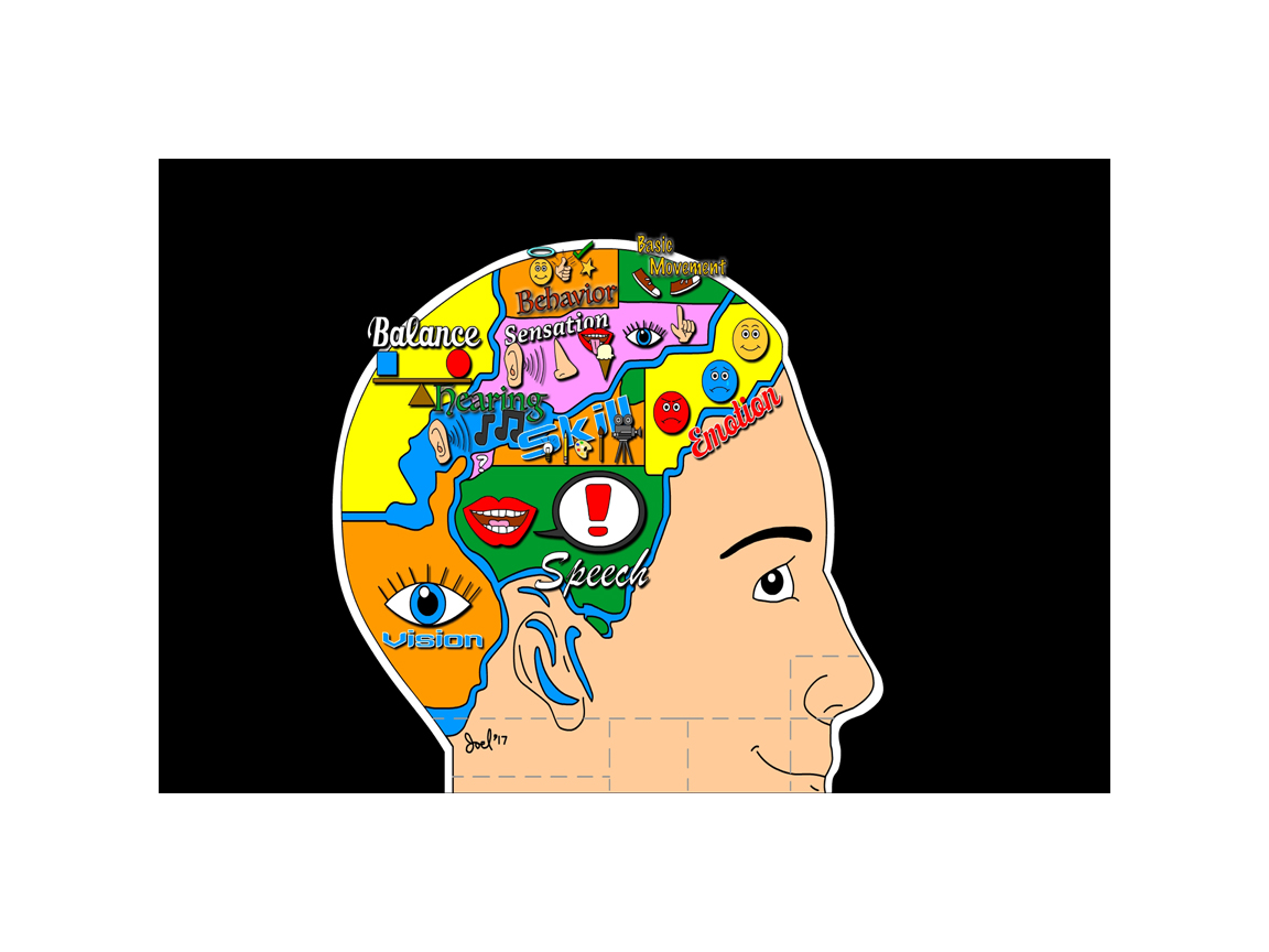 Neuroscience2017_Brain Map