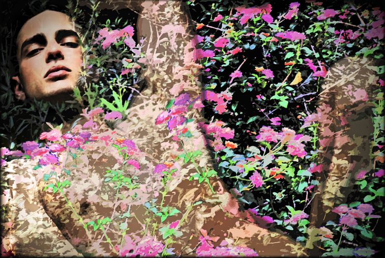 Bed of Flowers